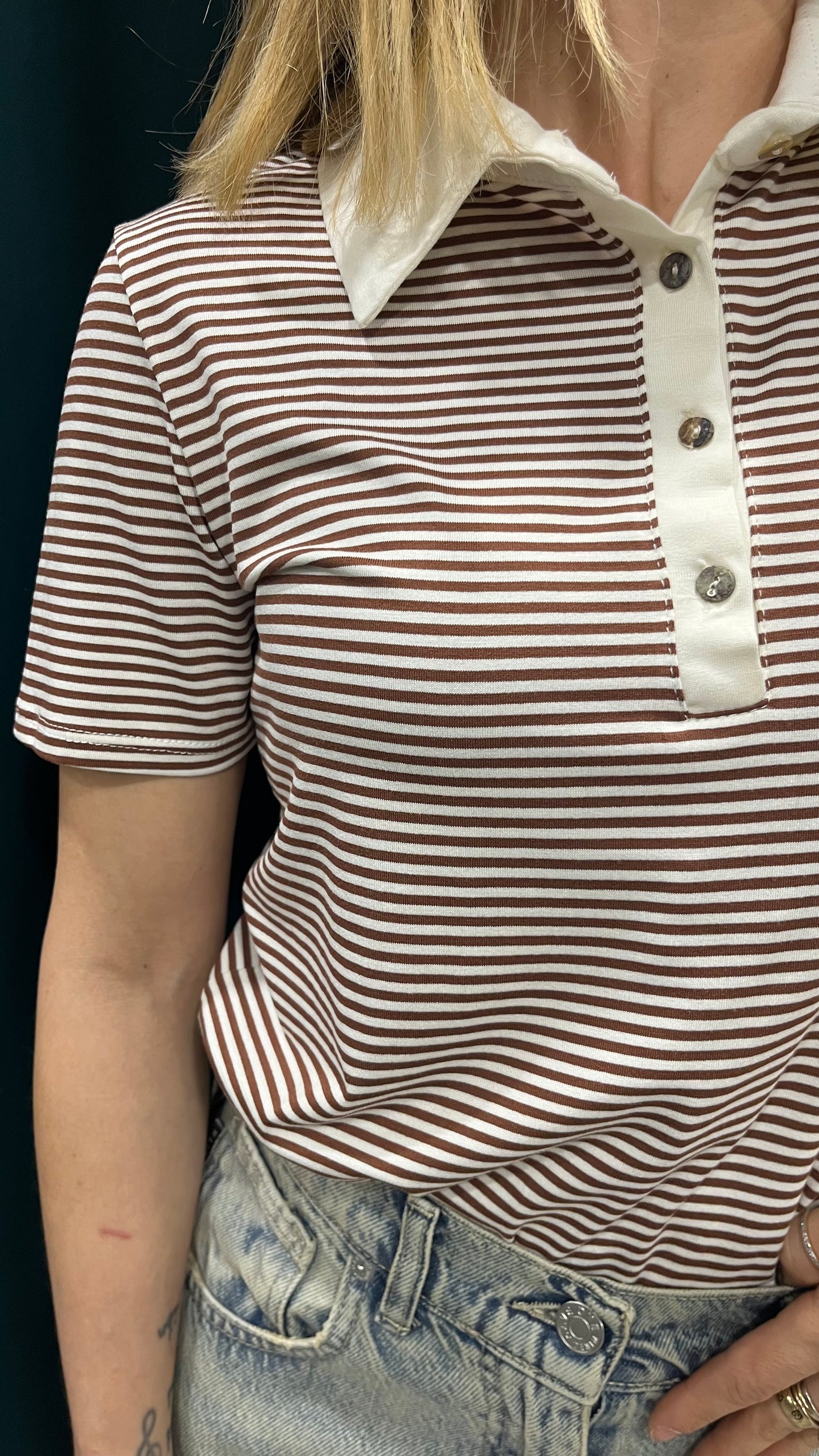 Polo Haveone Righe Marrone