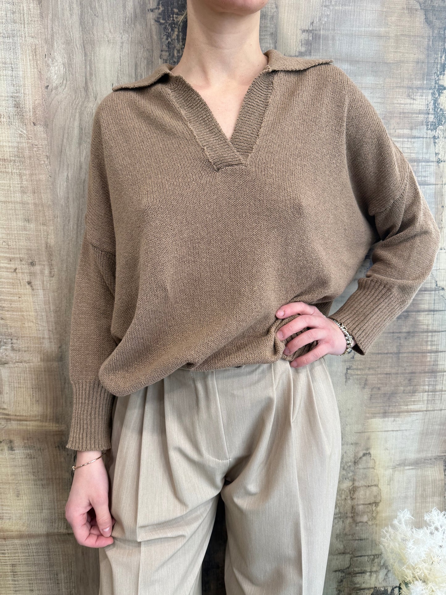 Maglione Polo in Diversi Colori